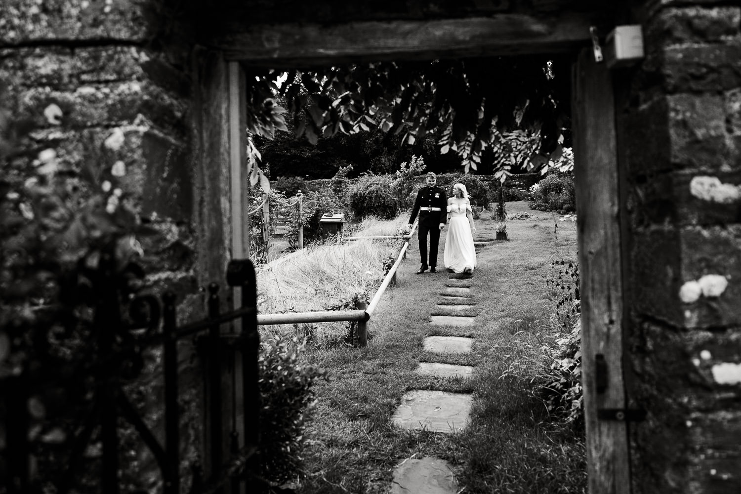 STACEY DAN 017 STACEY DAN 017